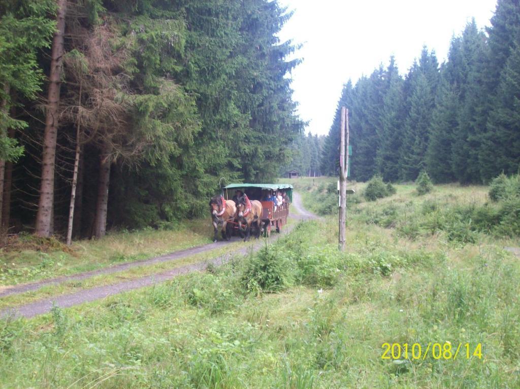 Hotel Burghof Oberweißbach Kamer foto